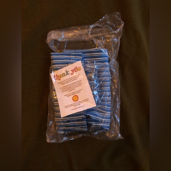 Big Bud Western Pants—  XS blue + white stripe - Picture 5 of 9